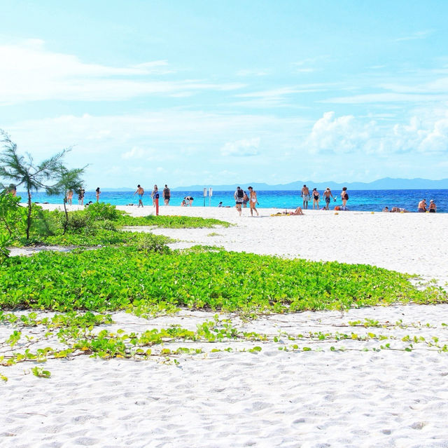 Embracing Island Bliss: Beach Life on Phi Phi Island