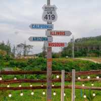 419 road hill trang