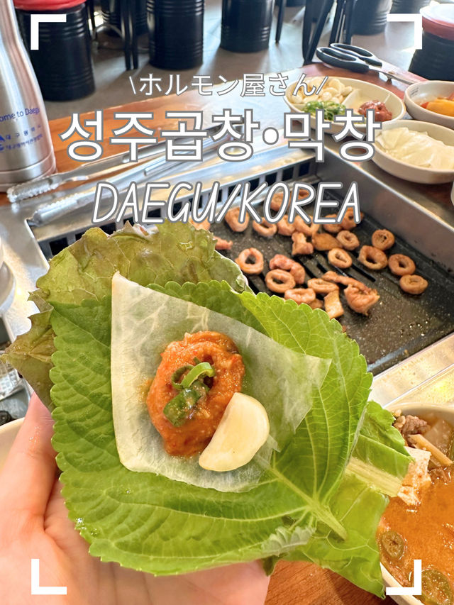 【韓国/大邱】味噌チゲがおいしい！ホルモン屋さん