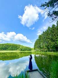  【奈良】奈良のウユニ塩湖👀？？絶景スポット：龍王ヶ渕