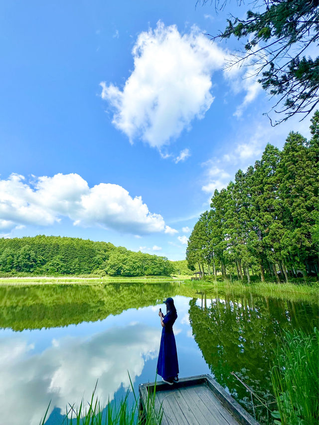  【奈良】奈良のウユニ塩湖👀？？絶景スポット：龍王ヶ渕