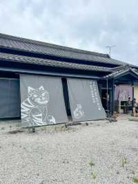 【岐阜 グルメ】感動のカンジャンケジャン🦀私的、日本で食べるカンジャンケジャン史上最高🧡