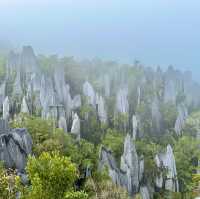Into the Heart of Borneo: Conquering the RM100 Challenge