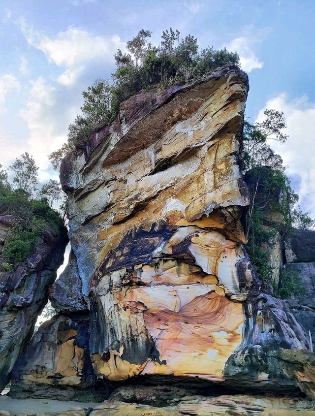 An awesome place in Sarawak for nature & wildlife experience