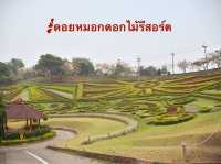 🌸สวยแบบตะโกน ที่ดอยหมอกดอกไม้รีสอร์ต
