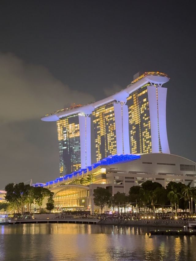 Singapore！無料で見られる！ナイトショー2選