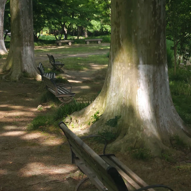 「娜麗公園：綠意盎然、錦鯉池美麗景緻，享受天然氧吧」