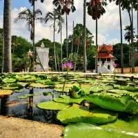 Wat Yan Nasangwararam Woramahawihan