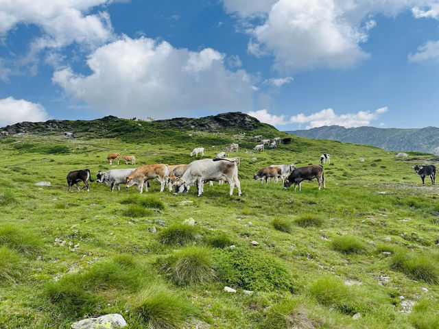 🇨🇭ベルニナ急行沿いハイキング