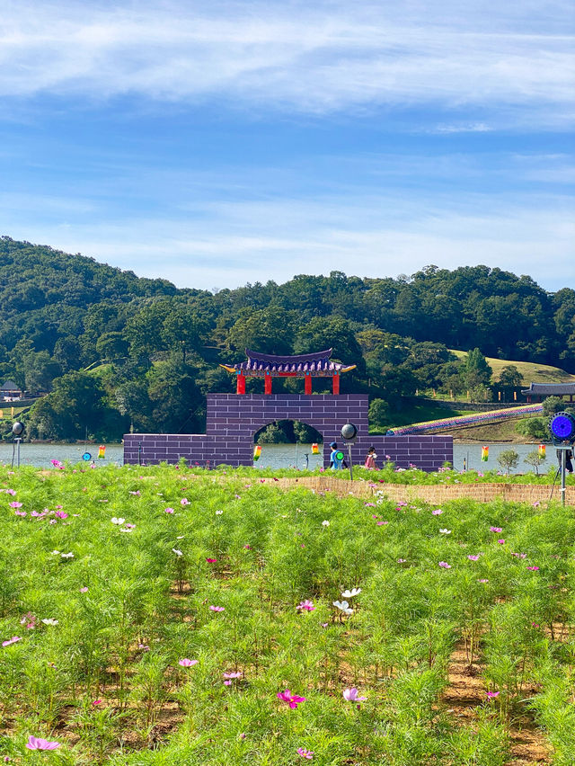 공주에서 가장이쁜 공원 미르섬⭐️