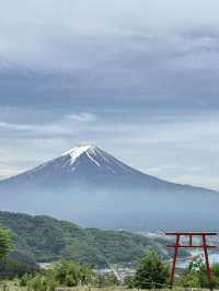 東京自駕河口湖～運氣好到爆才能看到富士山🗻