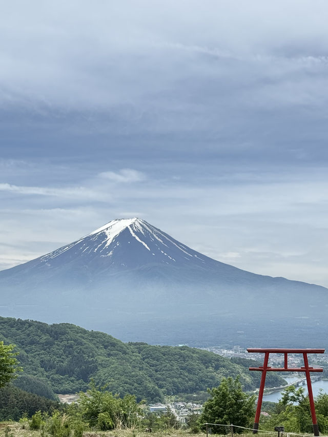 東京自駕河口湖～運氣好到爆才能看到富士山🗻