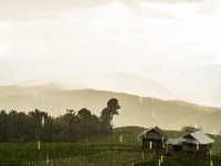 บ้านป่าบงเปียง