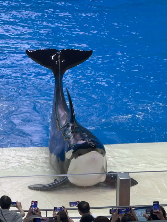 【長隆飛船樂園】全球最大室內主題樂園，微信小程序安排行程