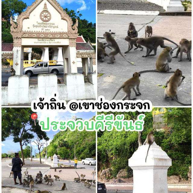 ฉันคือผู้พิชิตบันได🌝 396 ขั้นสู่เขาช่องกระจก👑