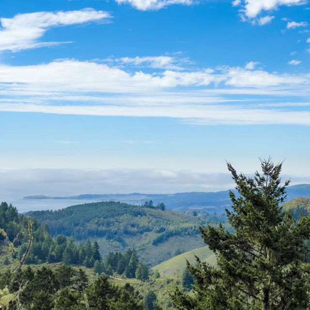 「Culicagh Mountain Park：壯麗山谷，難忘旅程！」