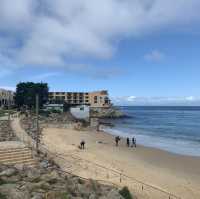 Exploring the 17-Mile Drive: A Scenic Coastal Journey