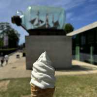 A royal experience of the observatory 