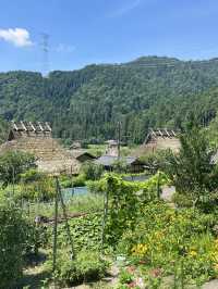 【京阪神五至七日遊】貓🐱風列車、合掌村、清水寺、心齋橋購物，穿和服遊京都