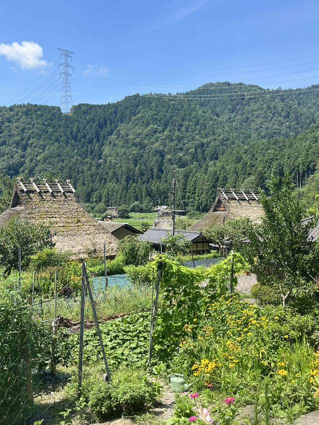 【京阪神五至七日遊】貓🐱風列車、合掌村、清水寺、心齋橋購物，穿和服遊京都
