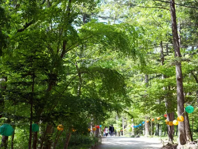 扶安旅遊必去景點