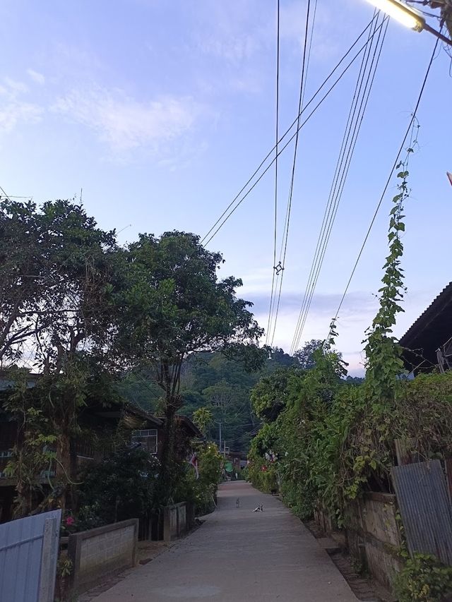 🛖 คนบนดอย โฮมสเตย์ บ้านป่าเหมี้ยง