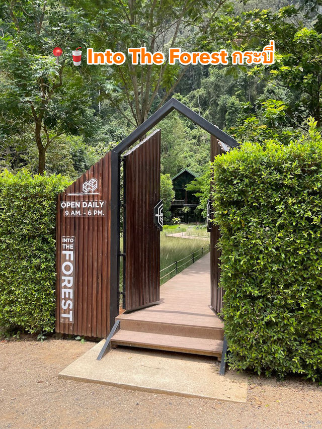 📍🥤Into The Forest กระบี่