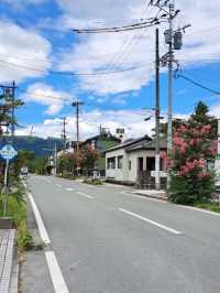 【いまきん食堂:熊本県阿蘇市】絶品あか牛丼を食べられる阿蘇市の老舗🍚