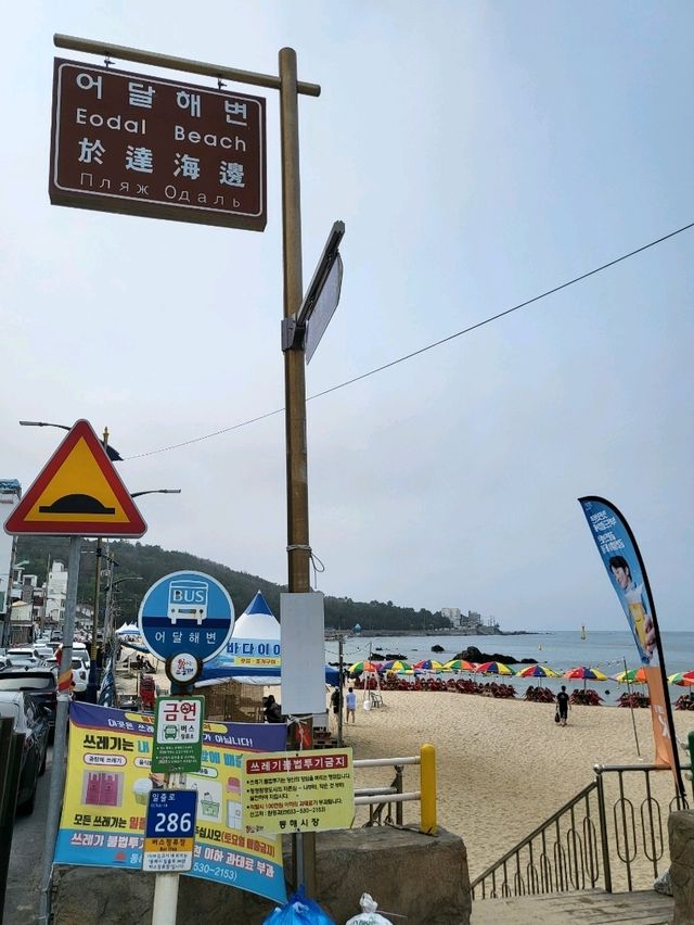 1년에 한번 해변포차가 열리는 어달해변