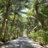 One of the best Island in Cebu!! 