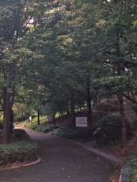환상적인 모담숲 산책