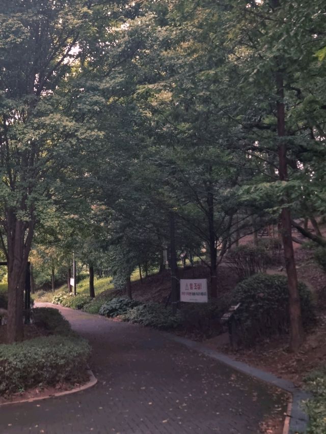 환상적인 모담숲 산책