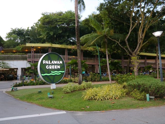 Catch the sunset at Palawan beach