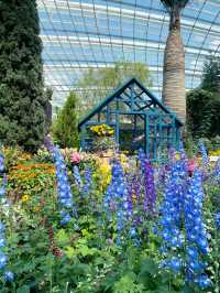 The best place to see beautiful flowers in Singapore