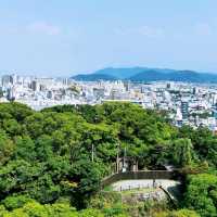 快閃和歌山