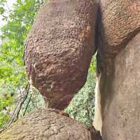 ถ้ำนาคี นครพนม