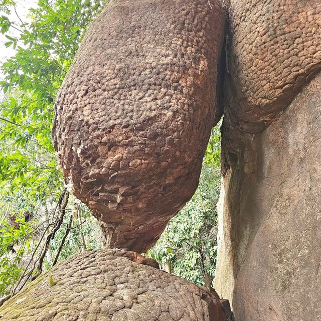 ถ้ำนาคี นครพนม