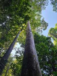 馬來西亞 Pangkor Laut Resort三天兩夜洗滌心靈之旅