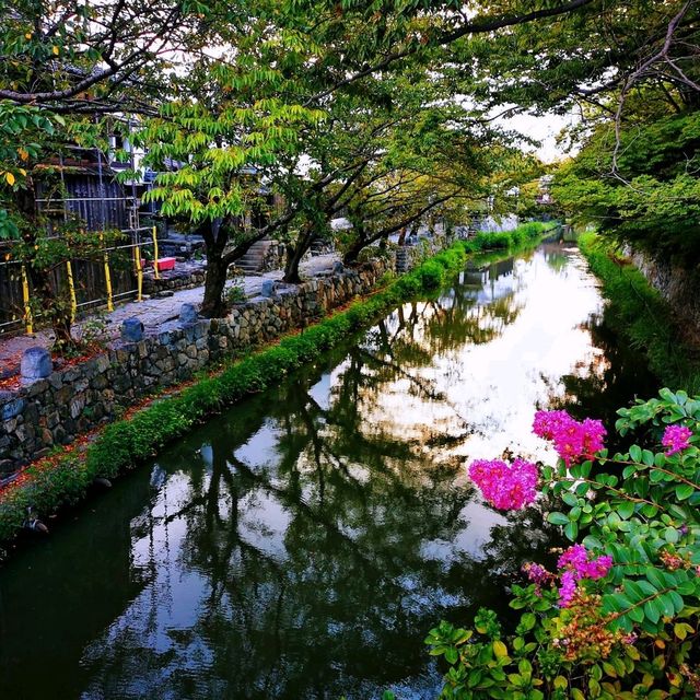 琵琶湖疏水•八幡堀•日牟禮八幡宮