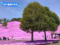 日本北海道-宛如粉紅色地毯的芝櫻花海：東藻琴 芝櫻公園