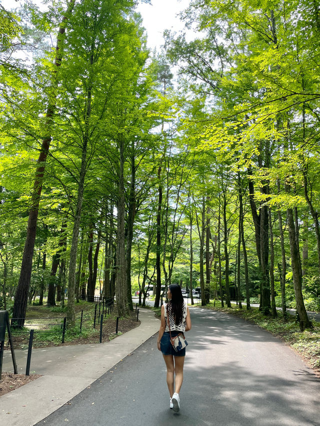 輕井澤 | 融入大自然嘅哥德式教堂在日本😍👰🏻‍♀️