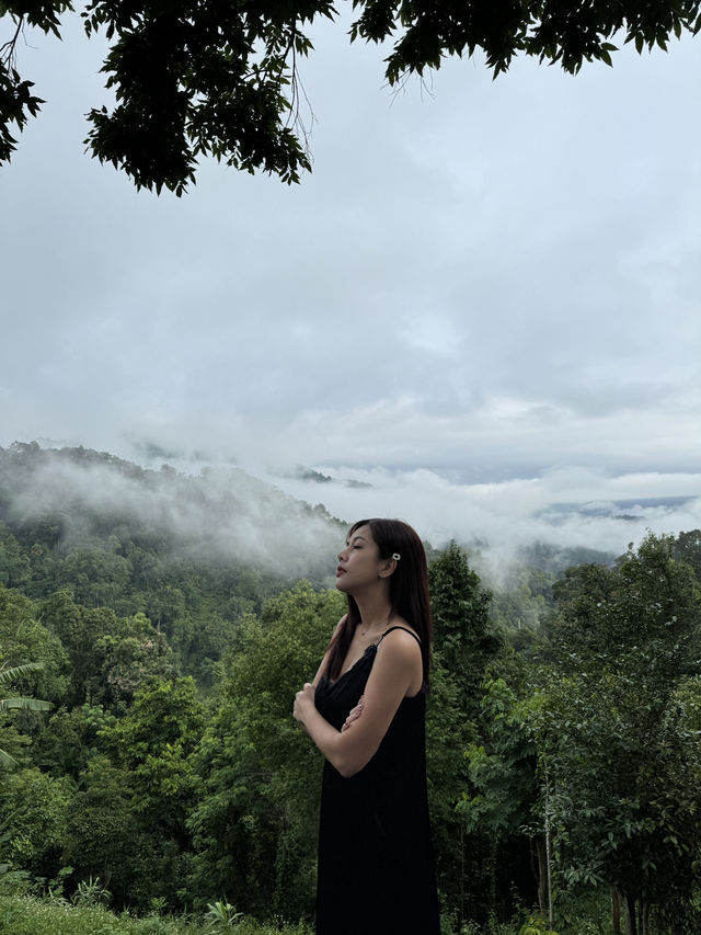 สัมผัสหมอกยามเช้า 🌨️ Phudin in Mork
