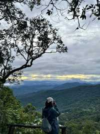 ดอยสุเทพ-ดอยปุย | ฤดูฝน ⛰️🌧️🌿🌳