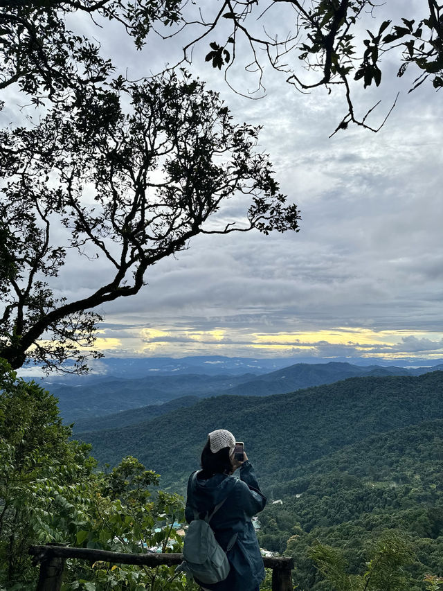 ดอยสุเทพ-ดอยปุย | ฤดูฝน ⛰️🌧️🌿🌳