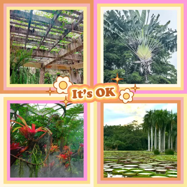  東南植物樂園🎡熱帶植物的天堂