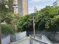 **🌳 台中心之谷 | 自然と文化が交わる新スポット**