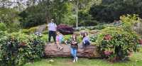 Spring Garden Kundasang, Beautiful floral and landscape