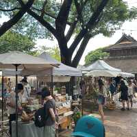 A Cozy & Fun Chiang Mai Daytime Market!