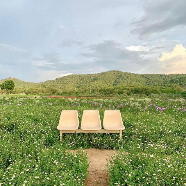 #ที่พักglamping ไปเขาใหญ่ห้ามพลาดร้านนี้ ✨ 🌳