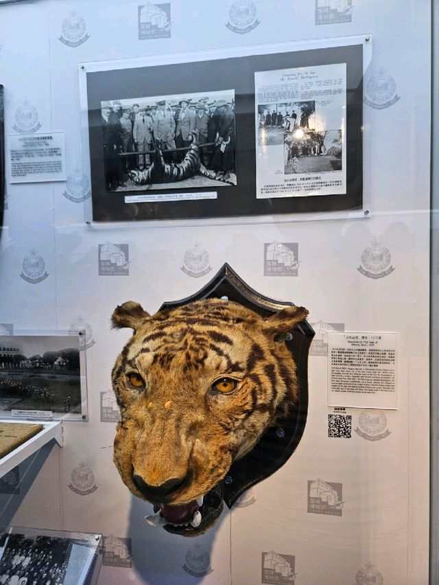 有導賞員講解的小型博物館